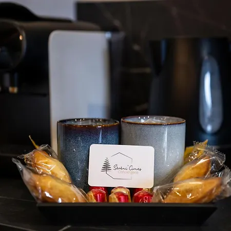 Appartement Pepite Alpine - Centre - Wifi Barcelonnette